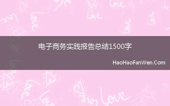 电子商务实践报告总结1500字(2023电子商务实训报告总