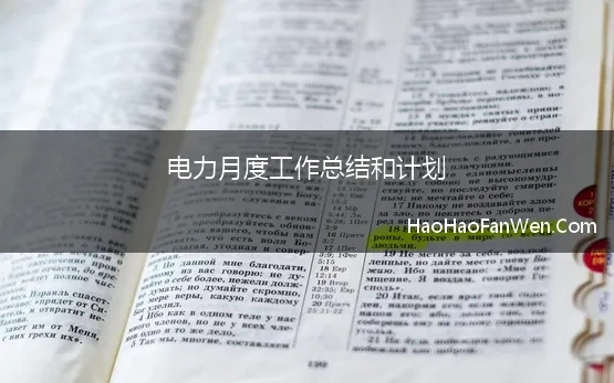 电力月度工作总结和计划