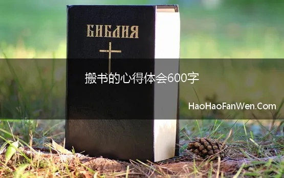 搬书的心得体会600字