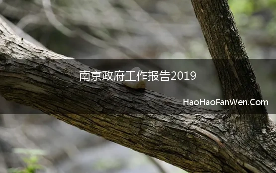 南京政府工作报告2019