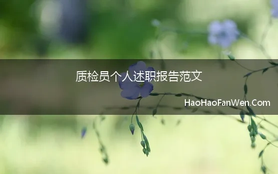 质检员个人述职报告范文