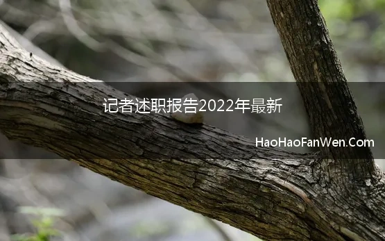 记者述职报告2022年最新